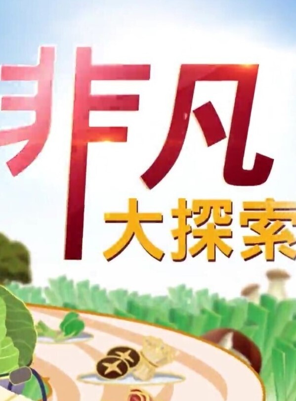 网红吃瓜清纯反差表焕儿在床上果然不一样 - 百合TV